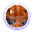 Dupsyp